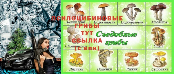 СК Липки