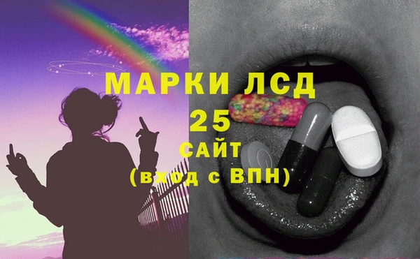 СК Липки