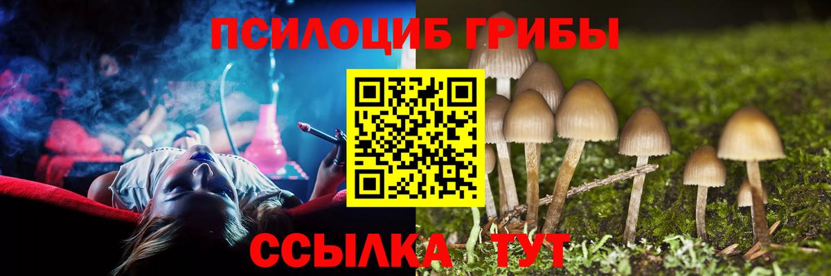 Псилоцибиновые грибы Cubensis  Вход с VPN  Ленинск-Кузнецкий 